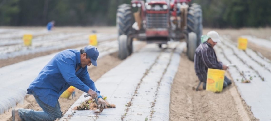 Migrant Workers