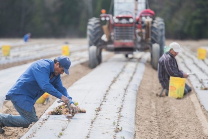 Migrant Workers