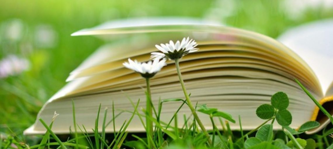 Daisies & book